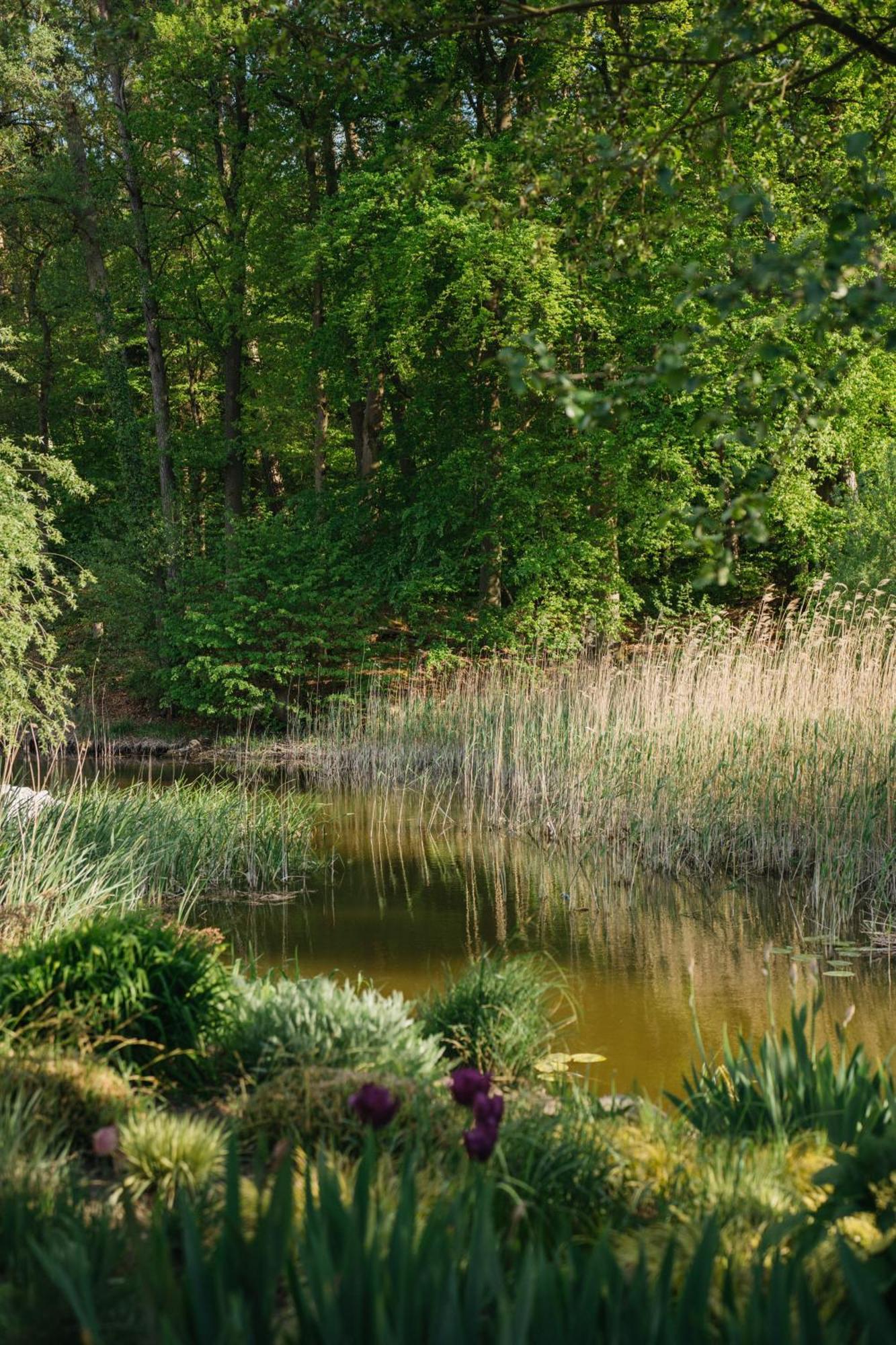 Muehle Tornow Am Wentowsee Extérieur photo